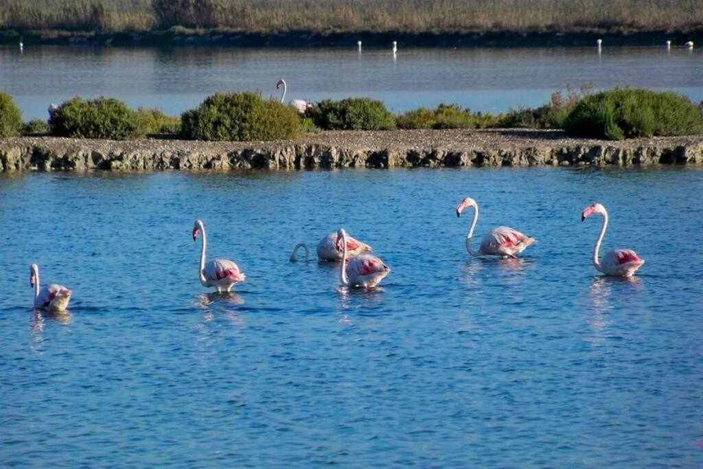 Apartamento Salamanca 38 En Santa Pola Zewnętrze zdjęcie